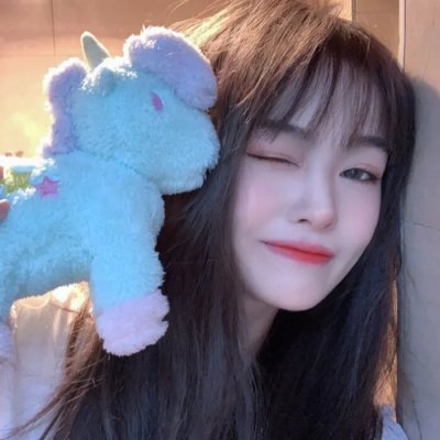 我的宠物是大象